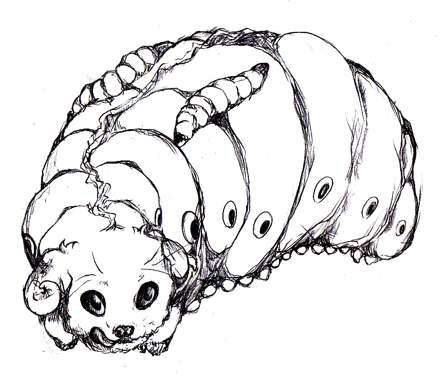 inudamushi